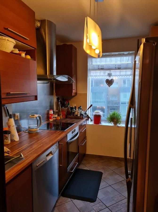 Cozy Stay In Downtown Reykjavík Dış mekan fotoğraf